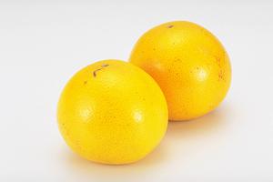 輸入食品が多い通販で楽しくショッピング