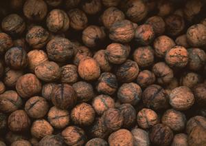 小千谷市名物へぎそば発祥の店「わたや」