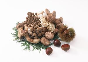 セルフカフェ・スイーツが楽しめる広々とした空間 ? かめ福オンプレイスの魅力と特徴