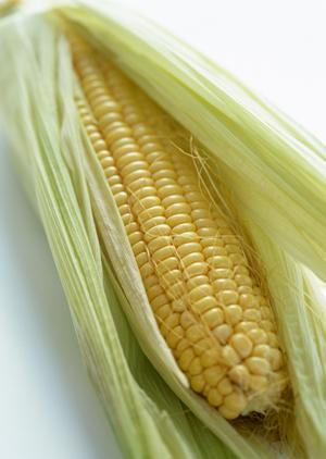 納涼床で本格的な京料理を楽しめるお店