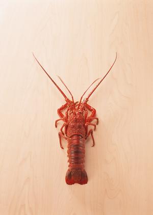 東京でワイン教室といえばシャルパンテです。