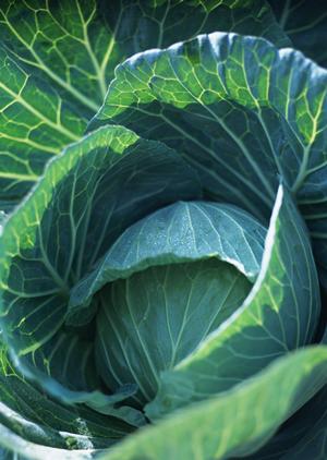 【お中元・お歳暮】ギフトなら明宝ハム